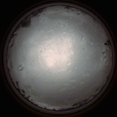 capture_202112020925_7215.Png