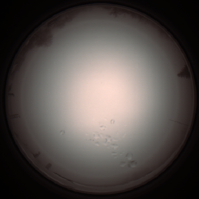 capture_202112051239_1171.Png