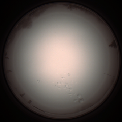 capture_202112051258_1190.Png