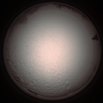 capture_202112051403_1255.Png