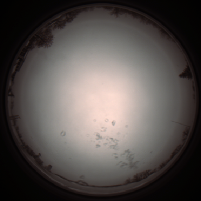 capture_202112051053_1065.Png