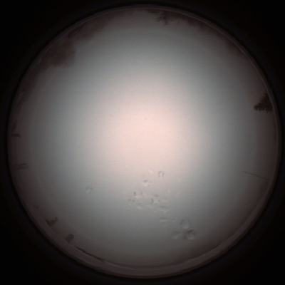 capture_202112051318_1210.Png