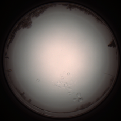 capture_202112051156_1128.Png