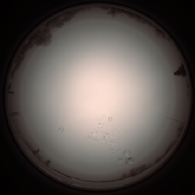 capture_202112051201_1133.Png