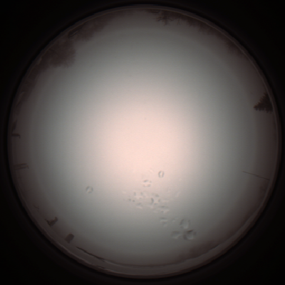 capture_202112051223_1155.Png