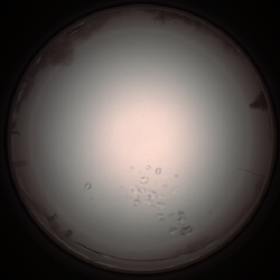 capture_202112051059_1071.Png