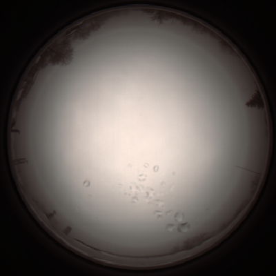 capture_202112051114_1086.Png