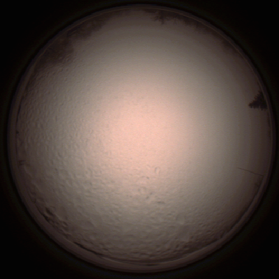 capture_202112051525_1337.Png
