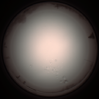 capture_202112051257_1189.Png