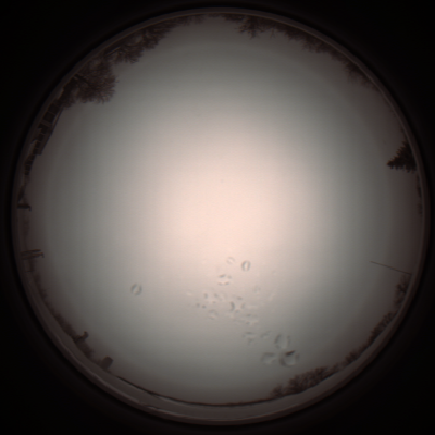 capture_202112051149_1121.Png
