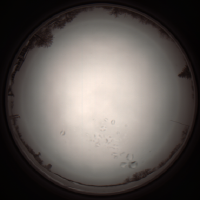 capture_202112051122_1094.Png