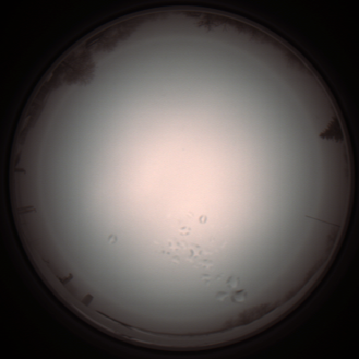 capture_202112051215_1147.Png