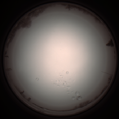 capture_202112051200_1132.Png