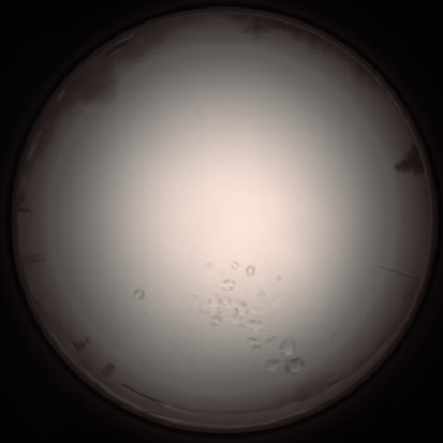 capture_202112051108_1080.Png