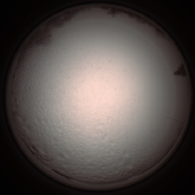 capture_202112051405_1257.Png