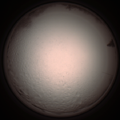 capture_202112051454_1306.Png