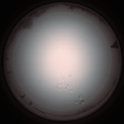 capture_202112051320_1212.Png