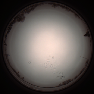capture_202112051144_1116.Png