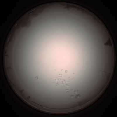 capture_202112051101_1073.Png