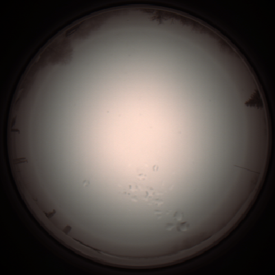 capture_202112051306_1198.Png