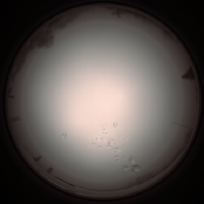 capture_202112051219_1151.Png