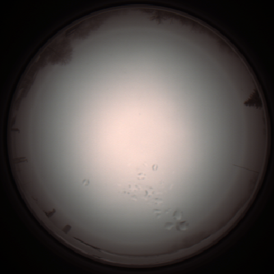 capture_202112051221_1153.Png