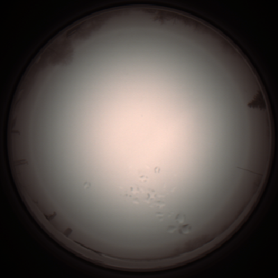 capture_202112051300_1192.Png