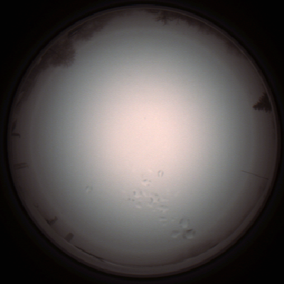 capture_202112051323_1215.Png