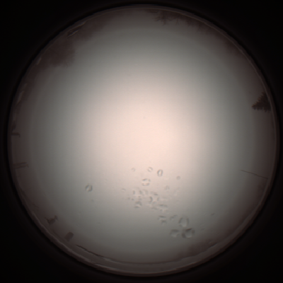 capture_202112051107_1079.Png