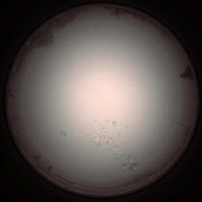 capture_202112051106_1078.Png