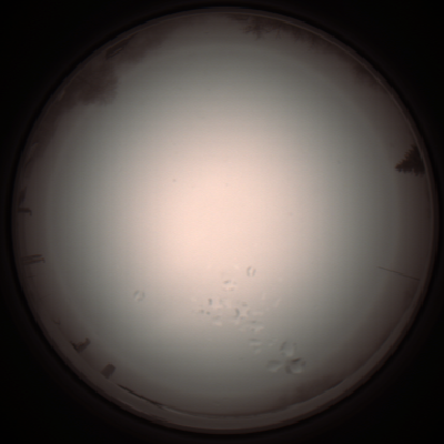 capture_202112051311_1203.Png