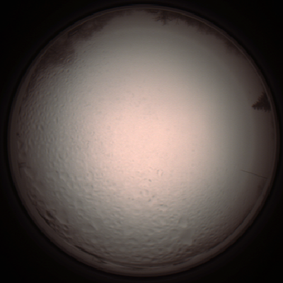 capture_202112051453_1305.Png