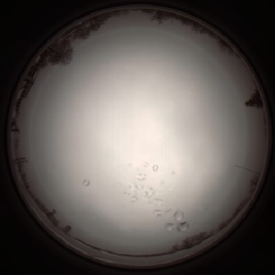 capture_202112051119_1091.Png