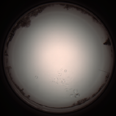 capture_202112051146_1118.Png