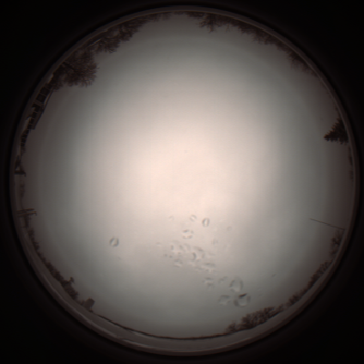 capture_202112051124_1096.Png