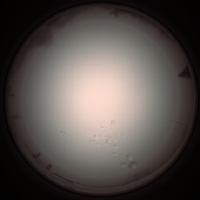 capture_202112051243_1175.Png