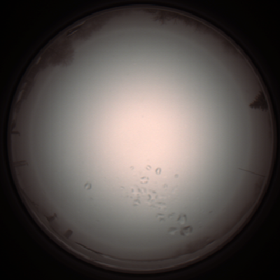 capture_202112051100_1072.Png