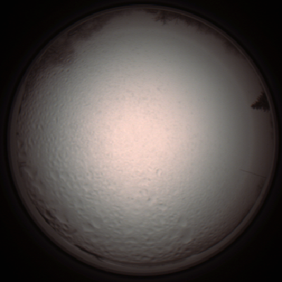 capture_202112051401_1253.Png