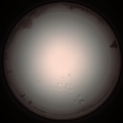 capture_202112051254_1186.Png