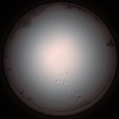 capture_202112051321_1213.Png