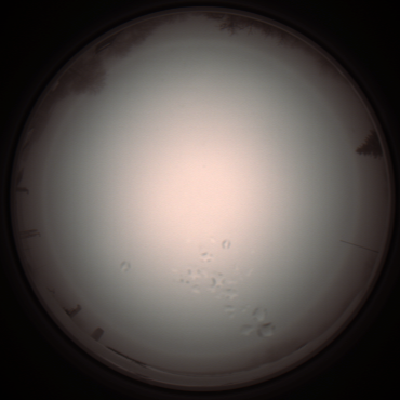 capture_202112051240_1172.Png