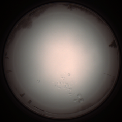 capture_202112051228_1160.Png