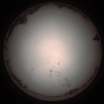 capture_202112051054_1066.Png