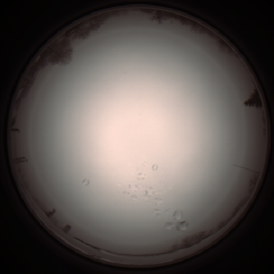 capture_202112051202_1134.Png