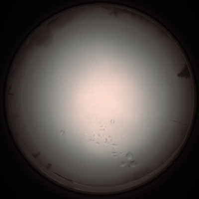 capture_202112051227_1159.Png