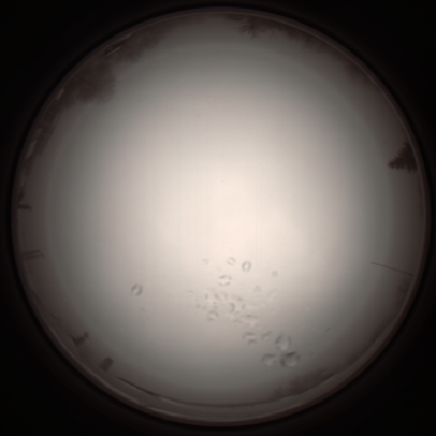 capture_202112051110_1082.Png