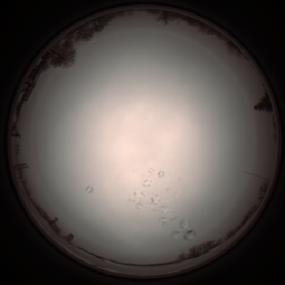 capture_202112051133_1105.Png