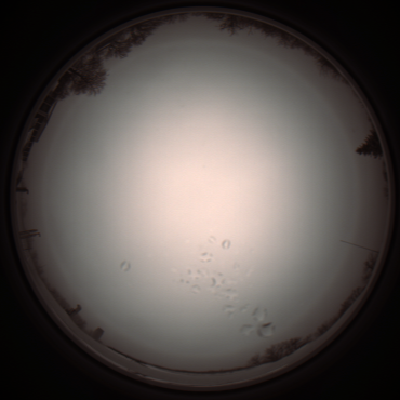 capture_202112051150_1122.Png