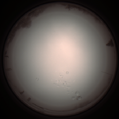 capture_202112051229_1161.Png