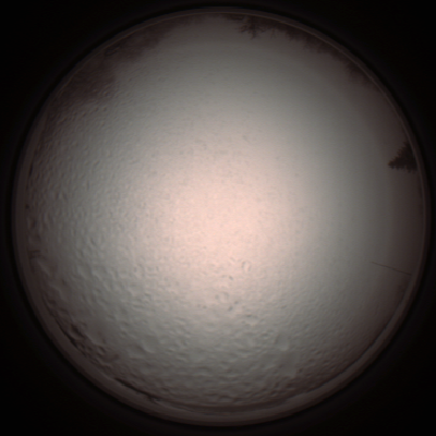 capture_202112051408_1260.Png
